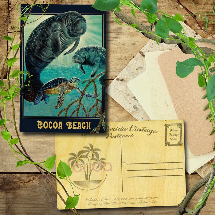 Cocoa Beach Manatee Glow Postcard