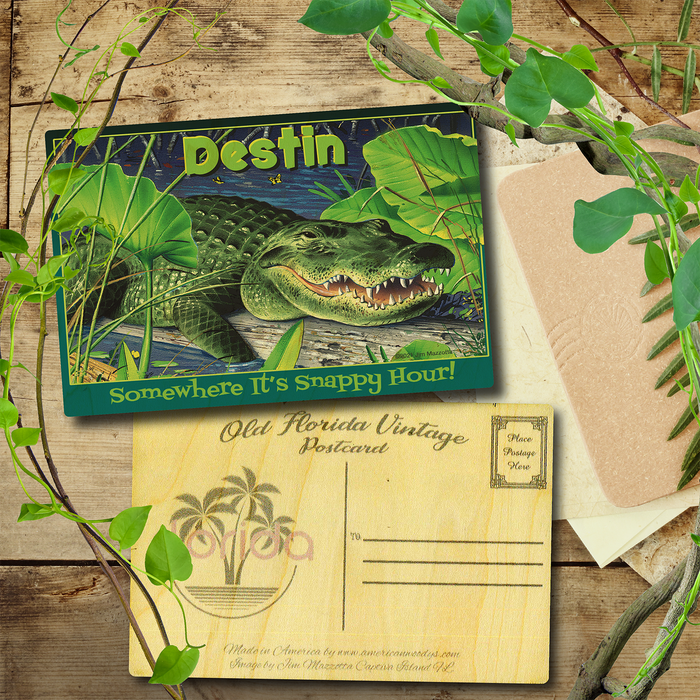 Destin Snappy Hour Postcard