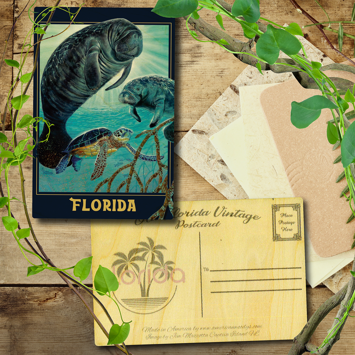 Florida Manatee Glow Postcard