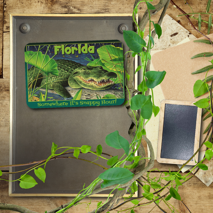 Florida Snappy Hour Magnet