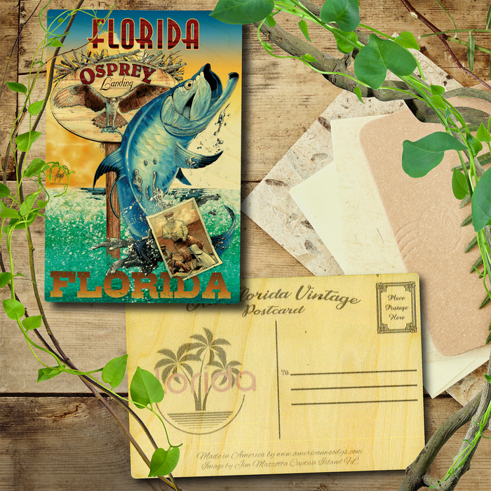 Florida Tarpon Postcard