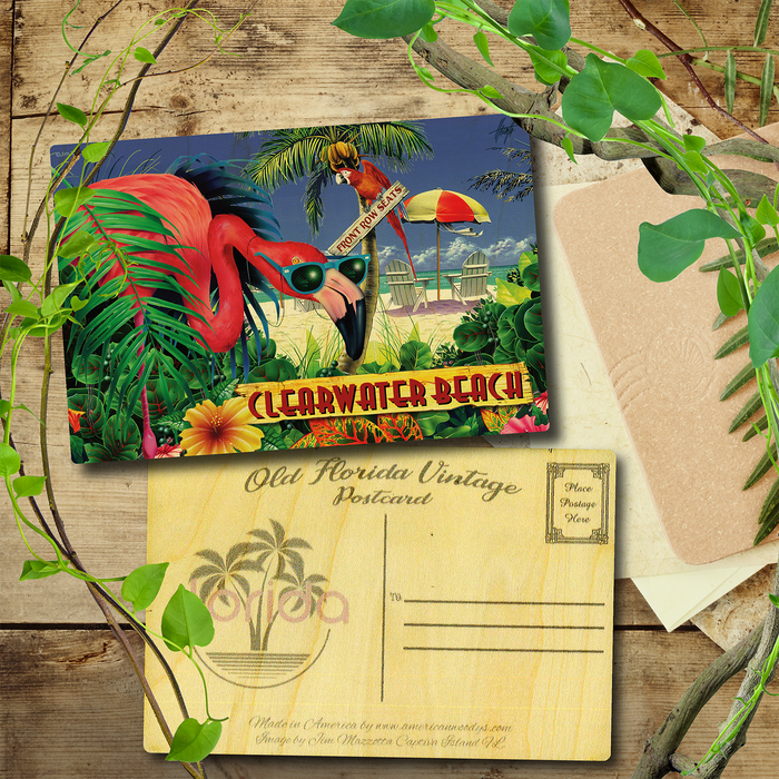 Clearwater Beach Flamingo Postcard