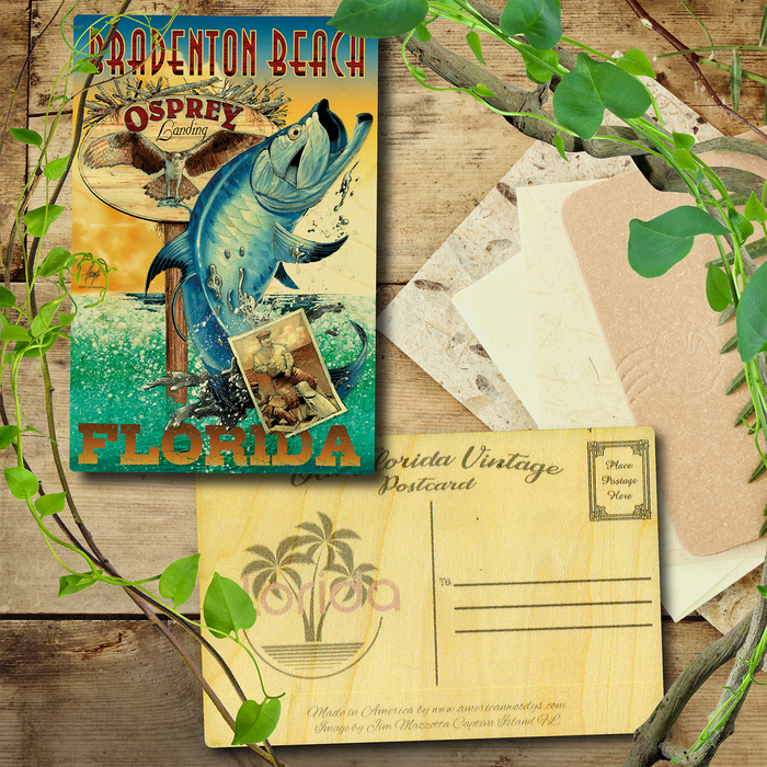 Bradenton Beach Tarpon Postcard