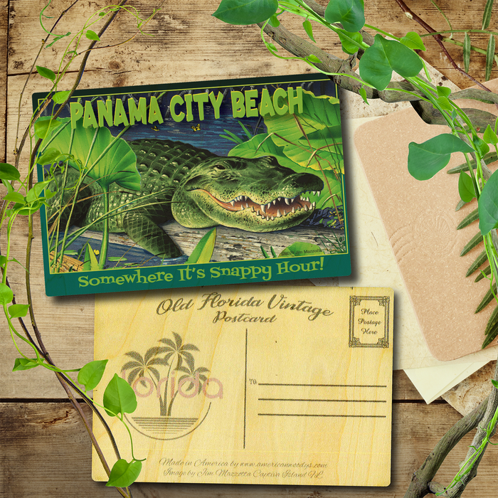 Panama City Beach Snappy Hour Postcard