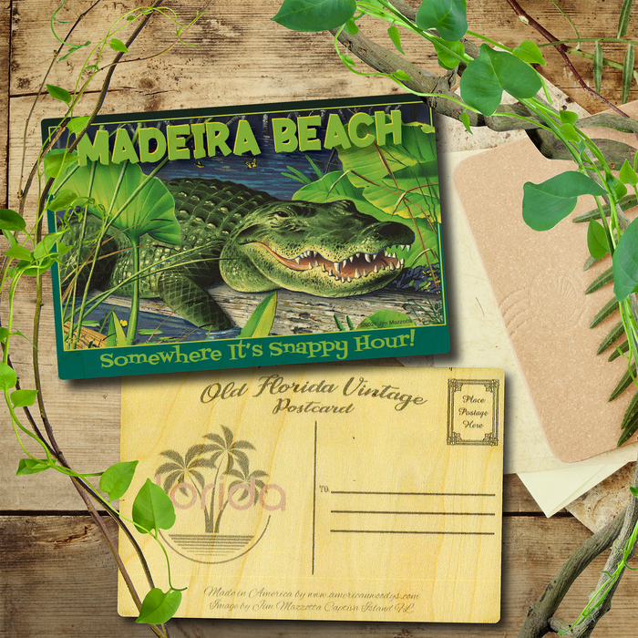 Madeira Beach Snappy Hour Postcard