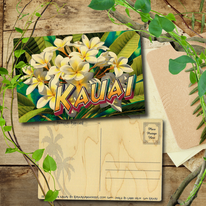 White Plumeria Kauai Postcard