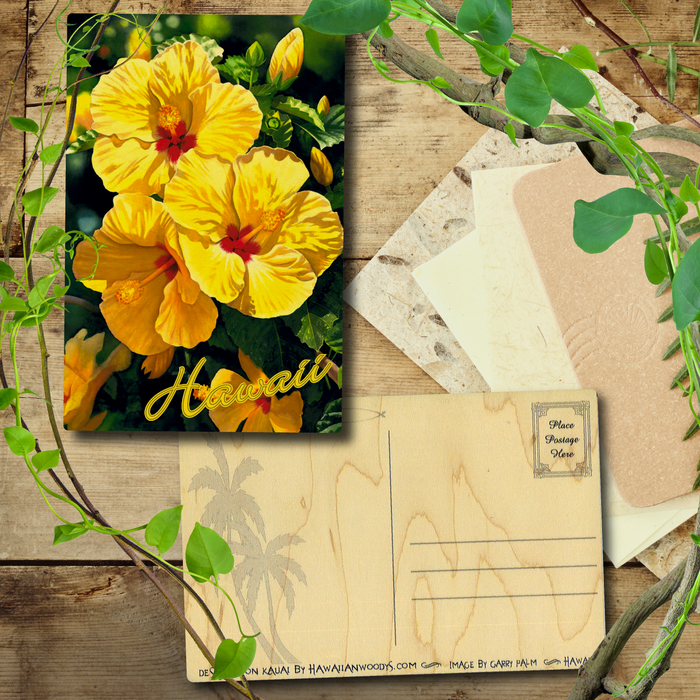 Yellow Hibiscus Hawaii Postcard