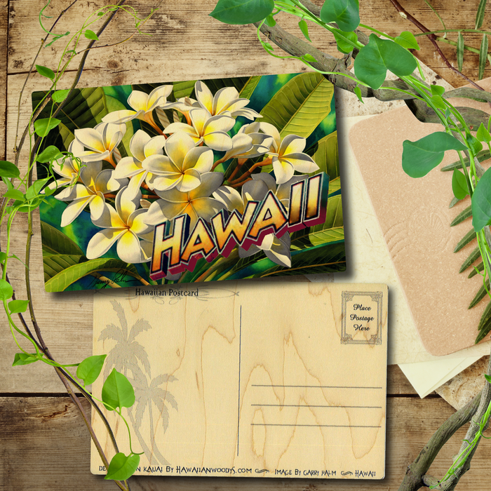 White Plumeria Hawaii Postcard