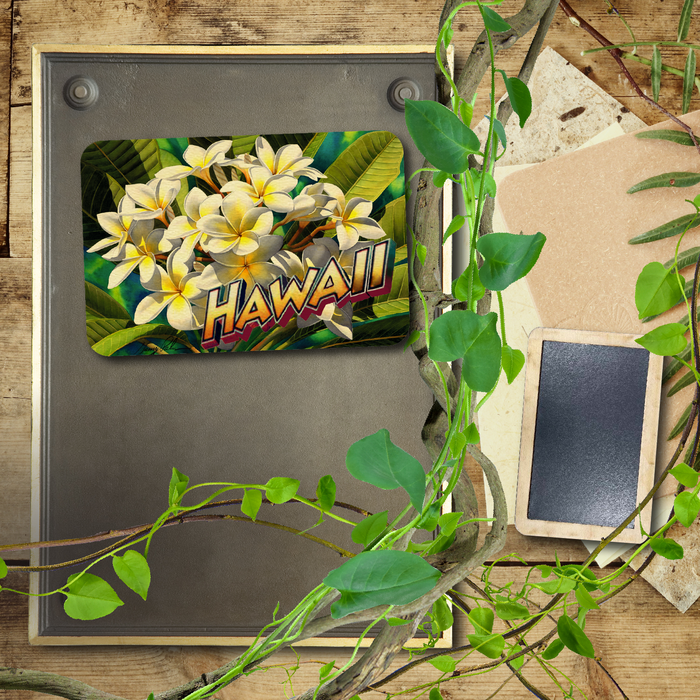 White Plumeria Hawaii Magnet