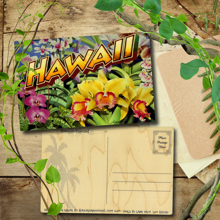 Hawaii Orchids Postcard