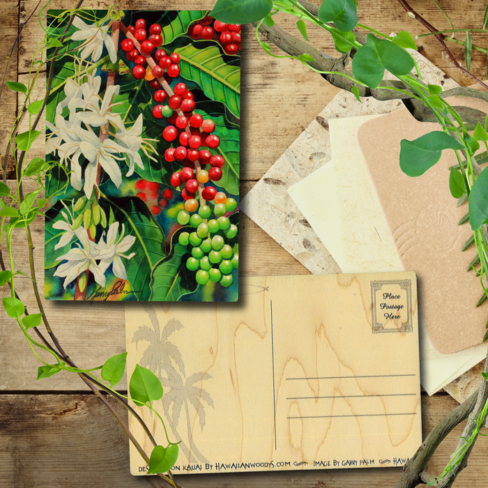 Coffee Cherries Postcard