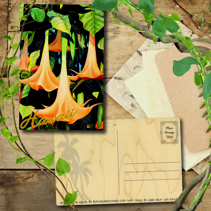 Angel's Trumpet Postcard