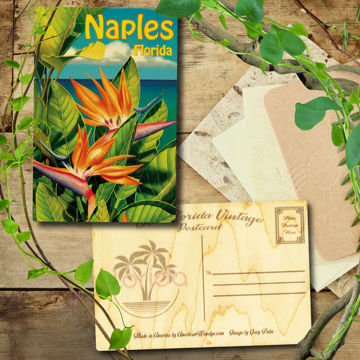 Tropical Paradise Naples  Postcard