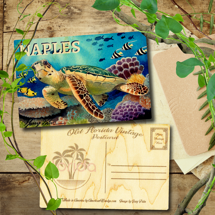 Naples Sea Turtle Postcard