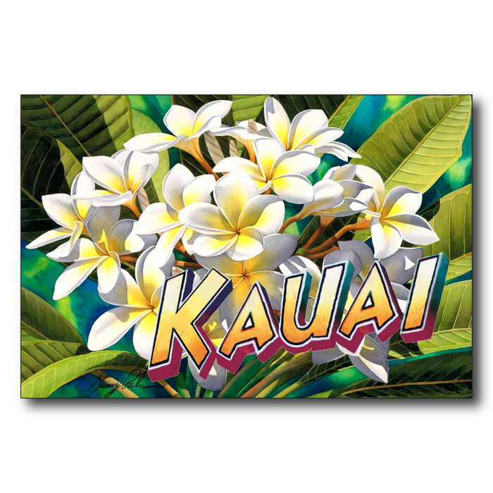 White Plumeria Kauai