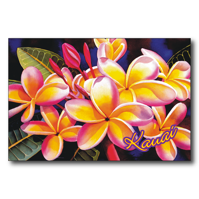 Rainbow Plumeria Kauai