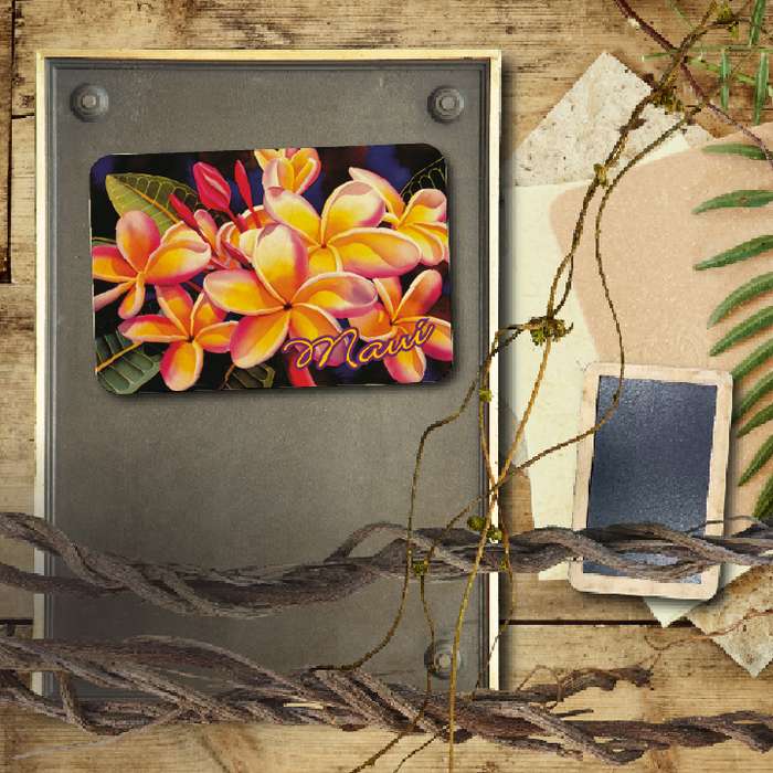 Rainbow Plumeria Maui