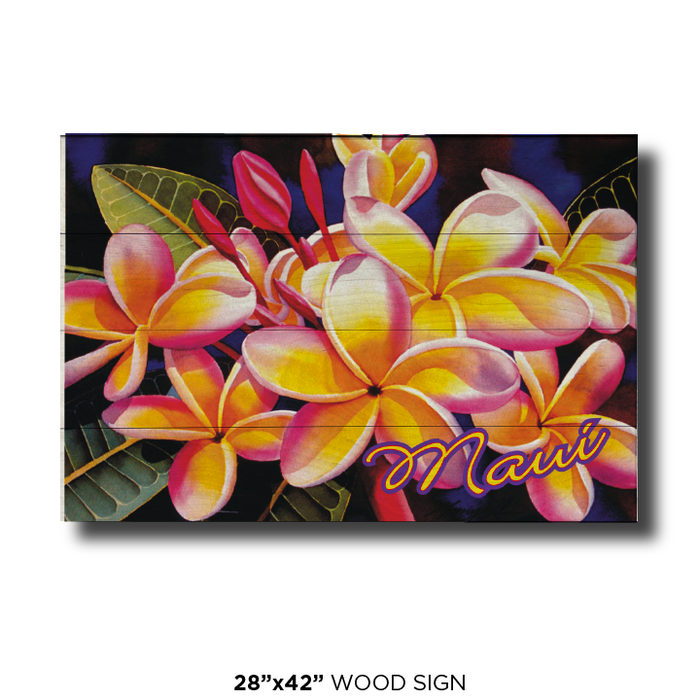 Rainbow Plumeria Maui