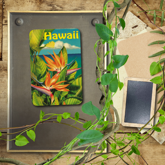 Tropical Paradise Hawaii