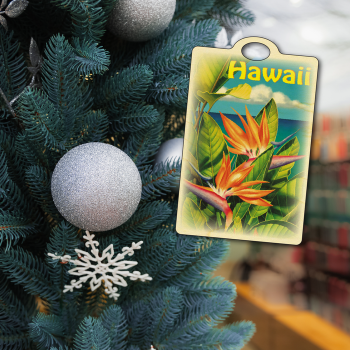 Tropical Paradise Hawaii