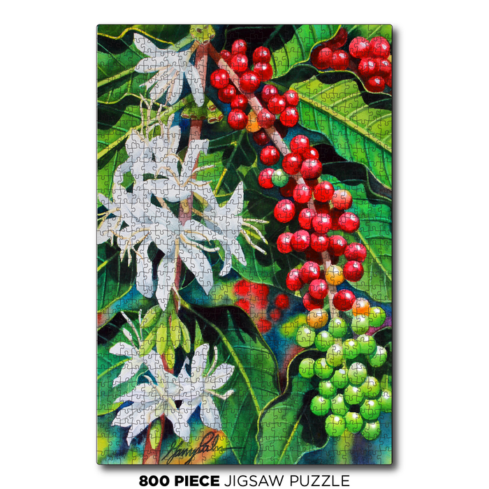 Coffee Cherries
