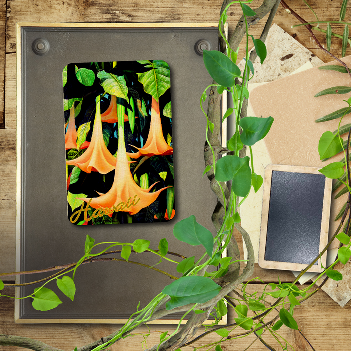 Angel's Trumpet