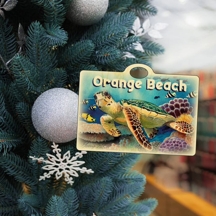 Orange Beach Turtle View
