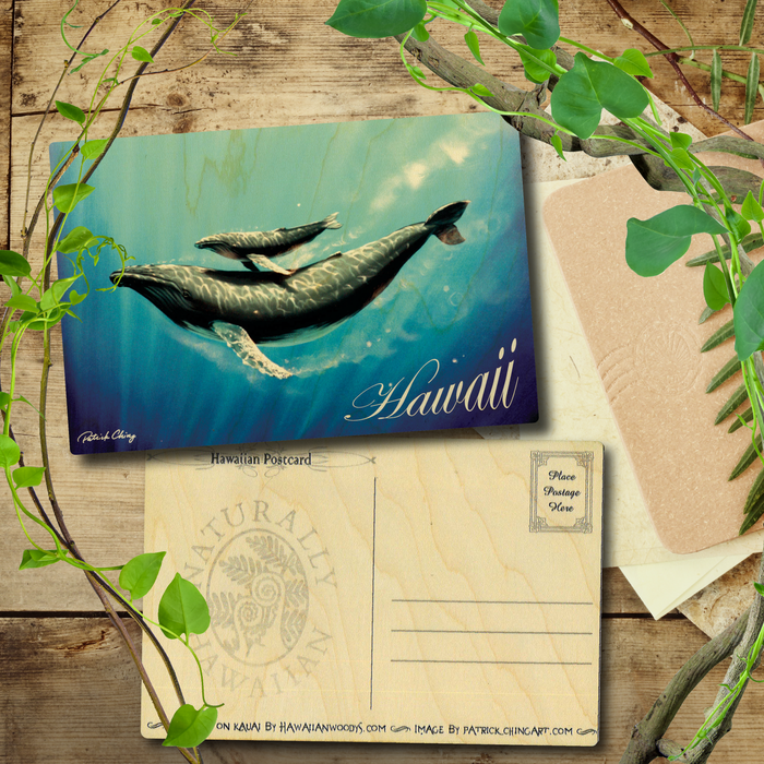 Kohala Hawaii Postcard