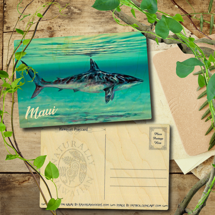 Mano e Kahi Maui Postcard