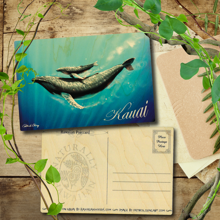 Kohala Kauai Postcard