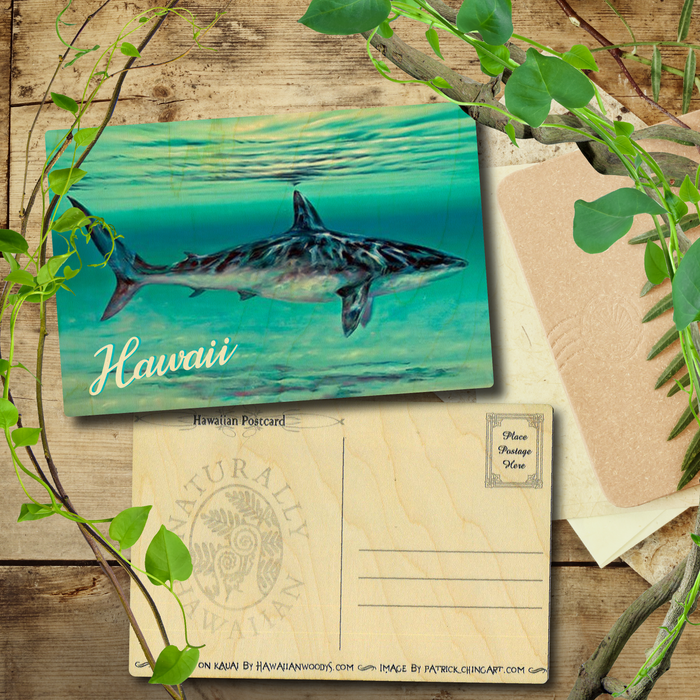 Mano e Kahi Hawaii Postcard