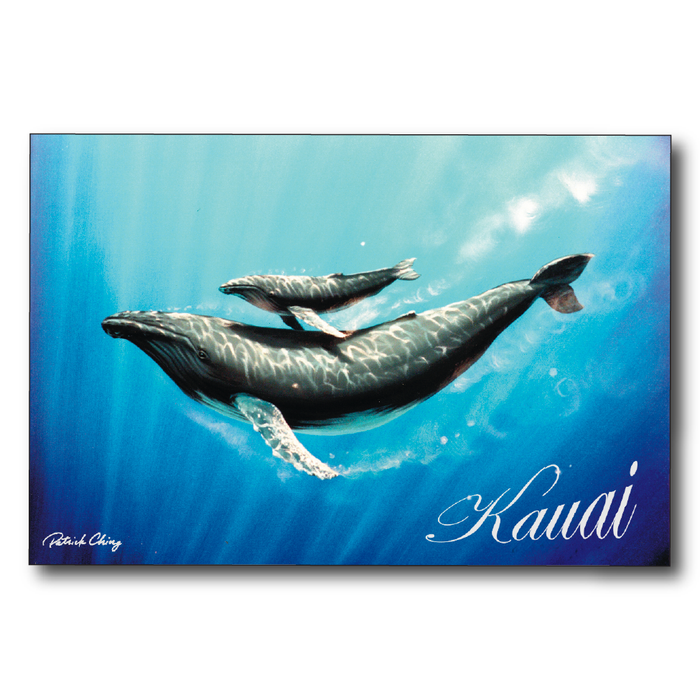 Kohala Kauai