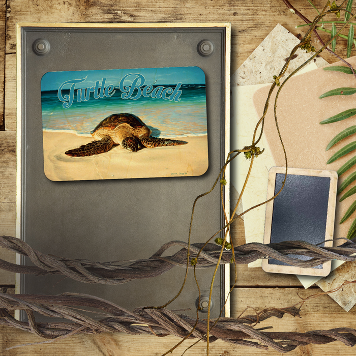 Green Peace Turtle Beach