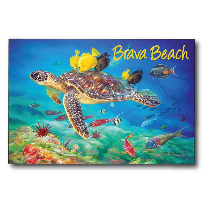 Undersea Kisses Brava Beach