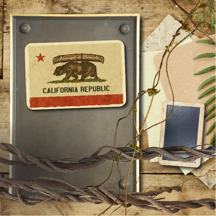 CA Republic Canoe Bear Newport Beach