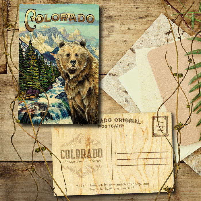 Colorado West Bear Postcard