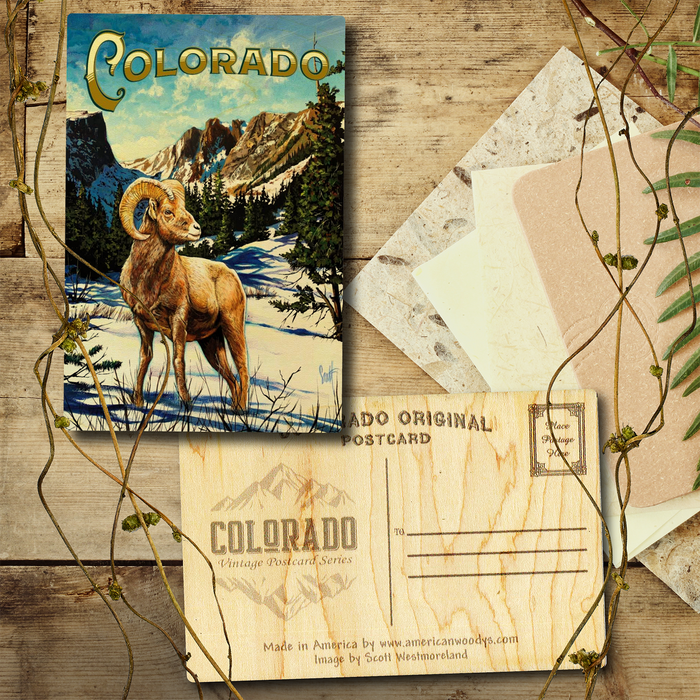 Colorado West Big Horn Postcard