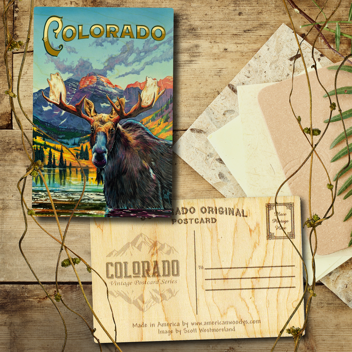 Colorado West Moose Postcard