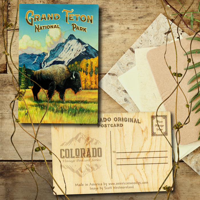 Grand Teton West Bison Postcard