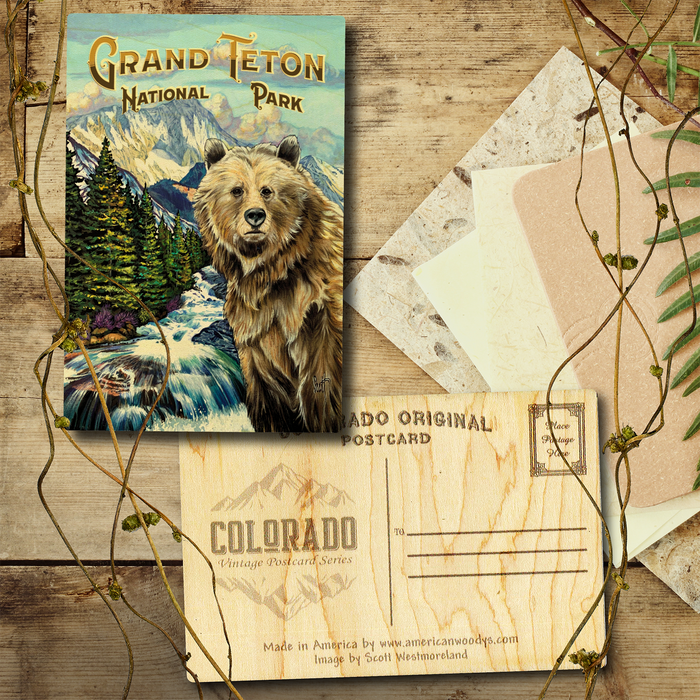 Jackson Hole West Bear Postcard