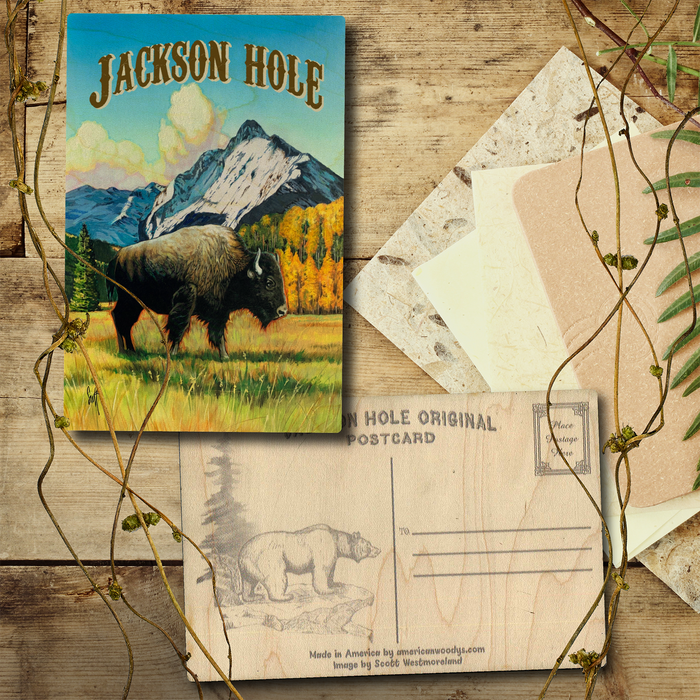 Jackson Hole West Bison Postcard