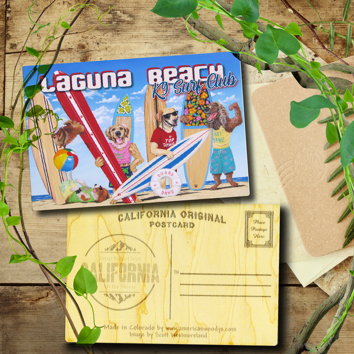 K9 Surf Club Laguna Beach