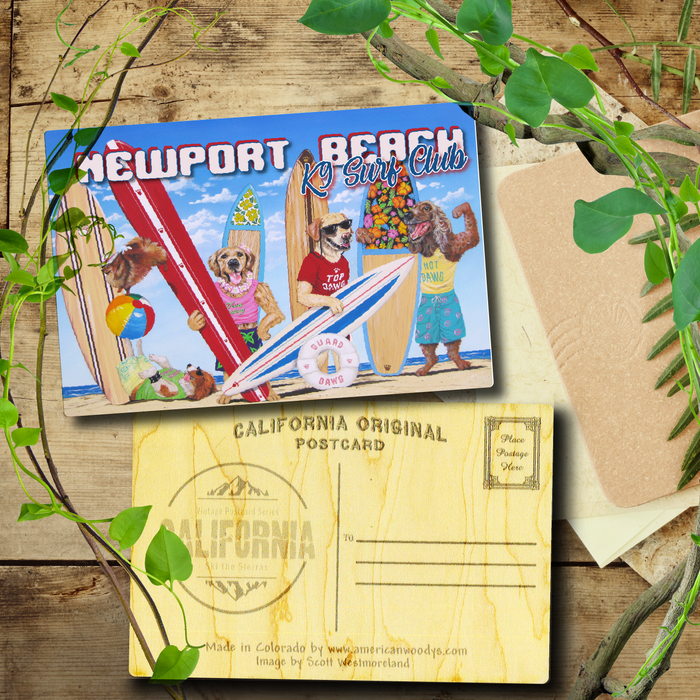 K9 Surf Club Newport Beach