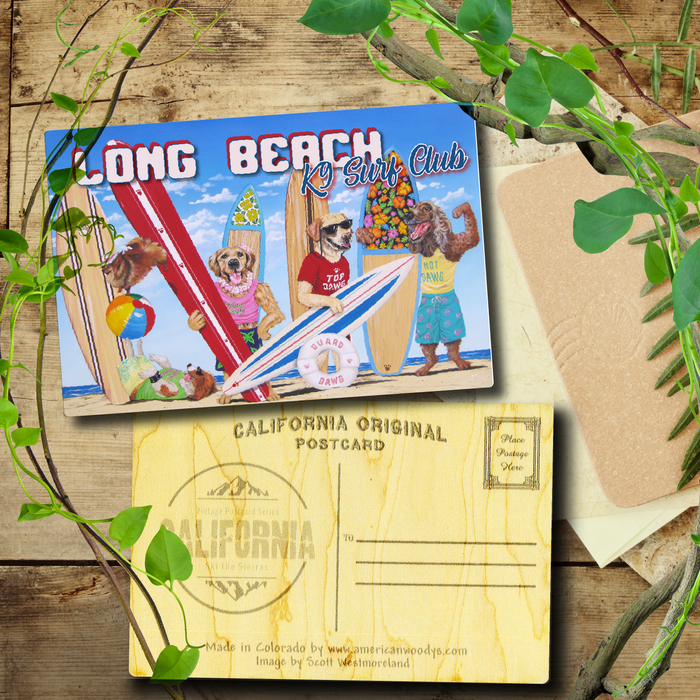 K9 Surf Club Long Beach