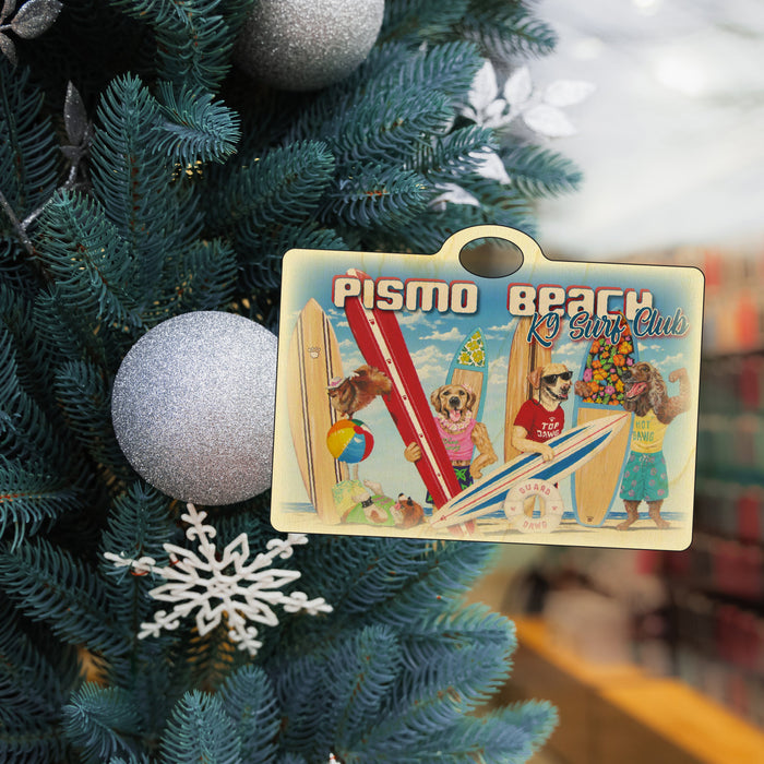 K9 Surf Club Pismo Beach