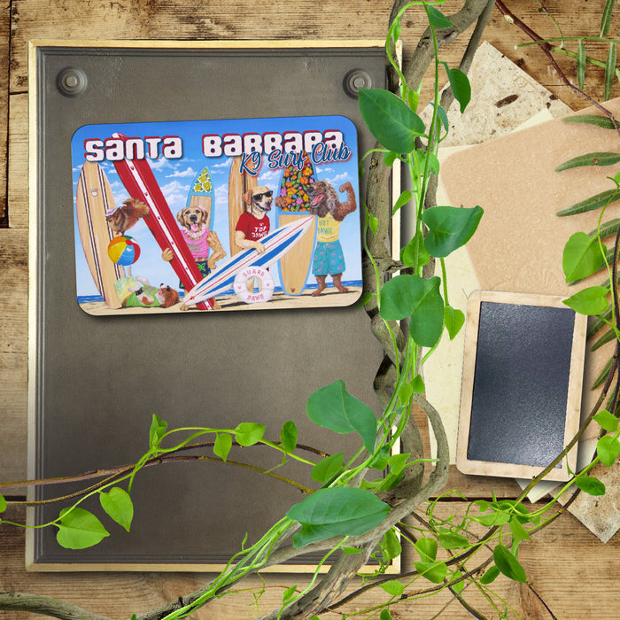 K9 Surf Club Santa Barbara