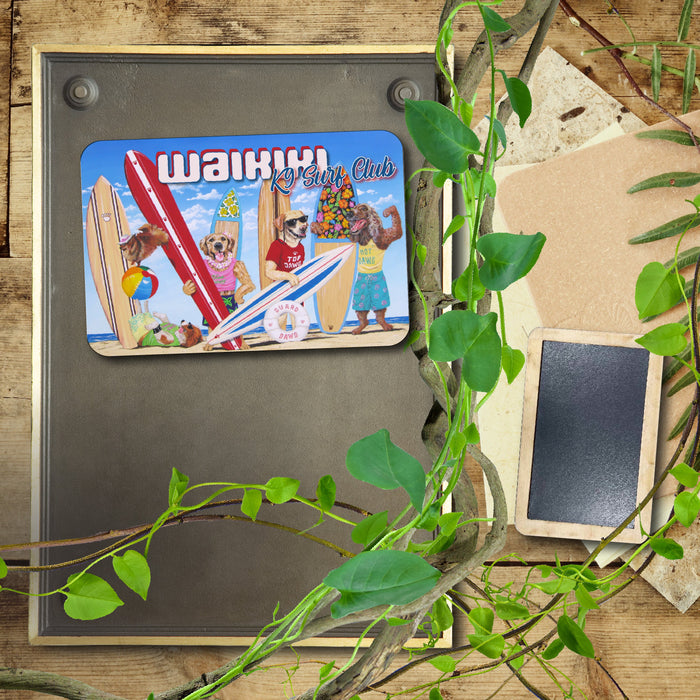 K9 Surf Club Waikiki