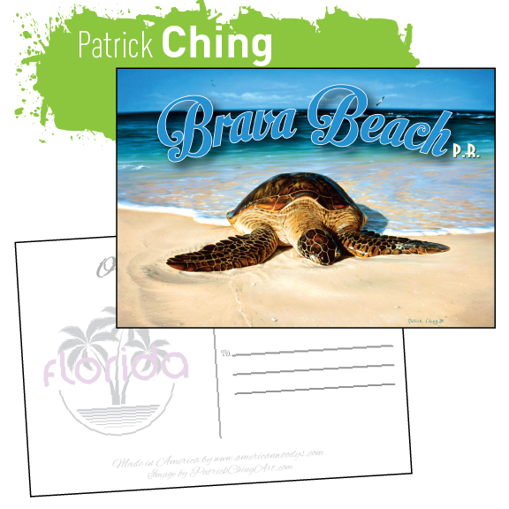 Green Peace Brava Beach Postcard